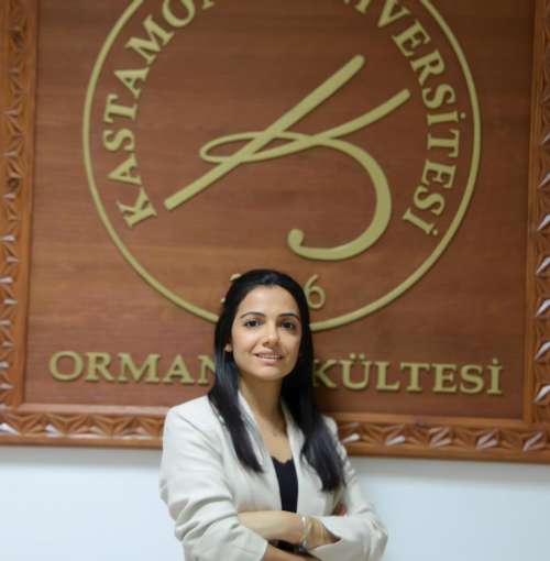 Dr. Öğr. Üyesi Senem GÜNEŞ ŞEN