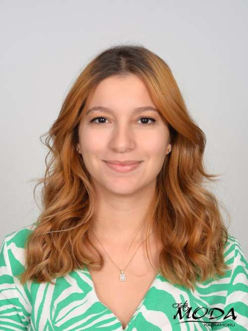 Arş. Gör. Merve Mehtap BULUT