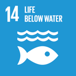 Goal 14: Life below water